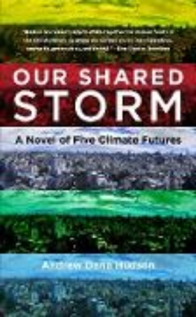 Bild von Our Shared Storm (eBook)