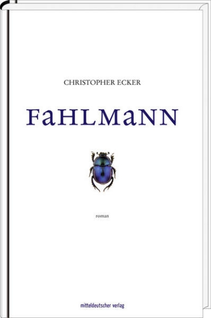 Bild von Fahlmann (eBook)