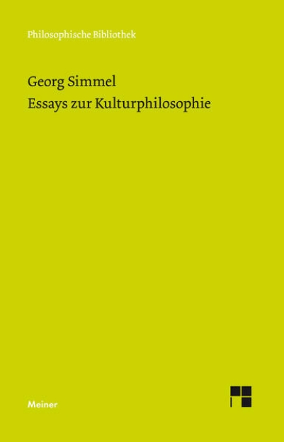 Bild von Essays zur Kulturphilosophie (eBook)