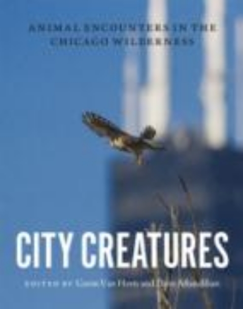 Bild von City Creatures (eBook)