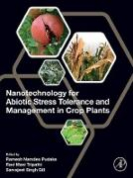 Bild von Nanotechnology for Abiotic Stress Tolerance and Management in Crop Plants (eBook)