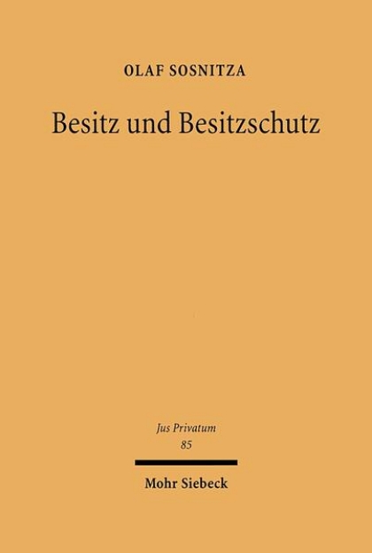 Bild von Besitz und Besitzschutz (eBook)