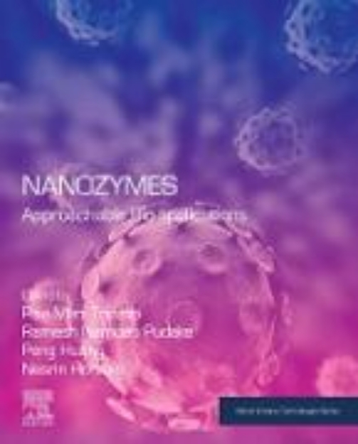 Bild von Nanozymes (eBook)