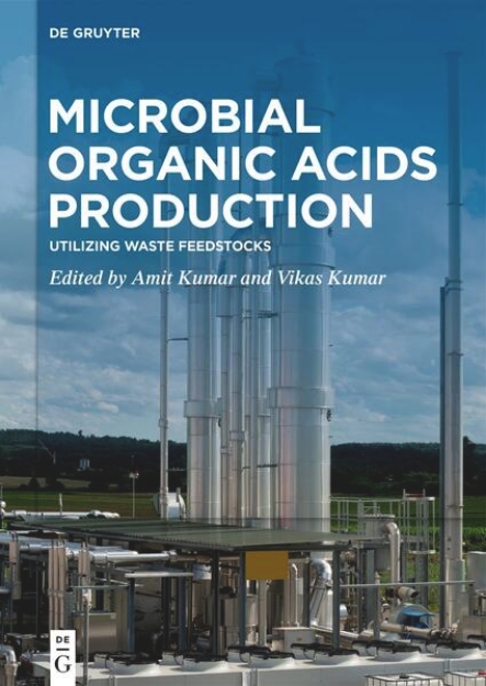 Bild von Microbial Organic Acids Production (eBook)