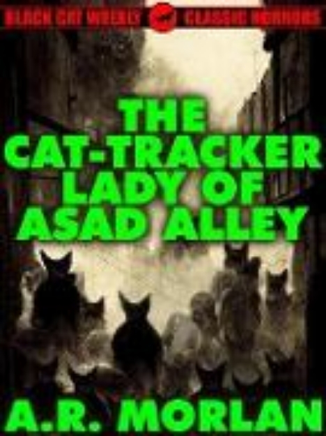 Bild von The Cat-Tracker Lady of Asad Alley (eBook)