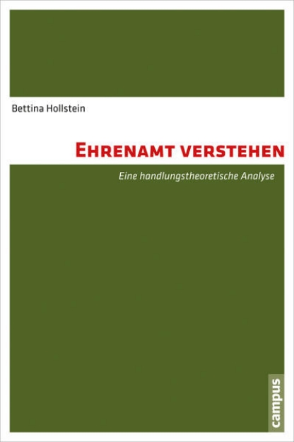 Bild von Ehrenamt verstehen (eBook)