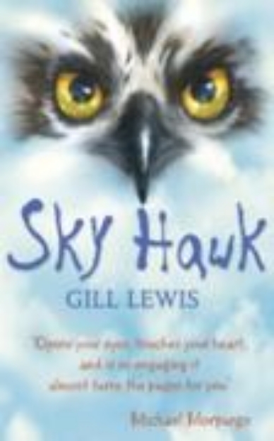 Bild von Sky Hawk (eBook)