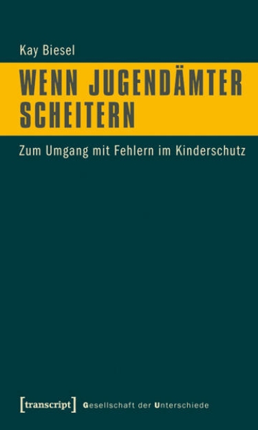 Bild von Wenn Jugendämter scheitern (eBook)