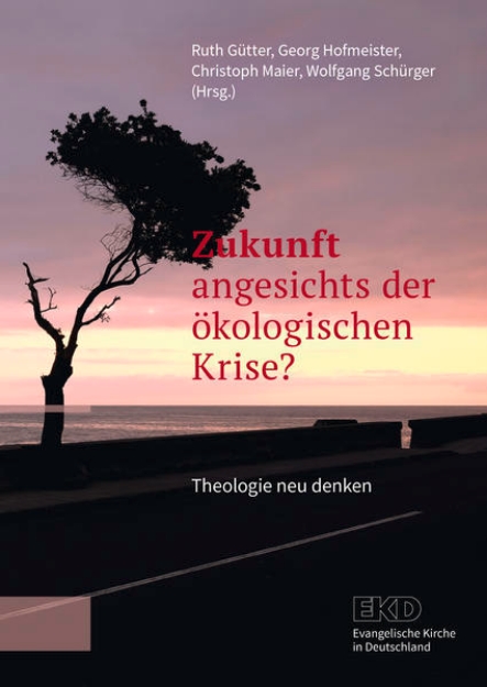 Bild von Zukunft angesichts der ökologischen Krise? (eBook)