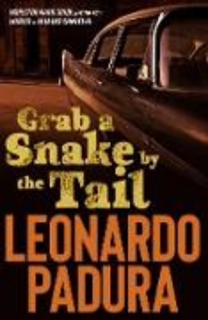 Bild von Grab a Snake by the Tail (eBook)