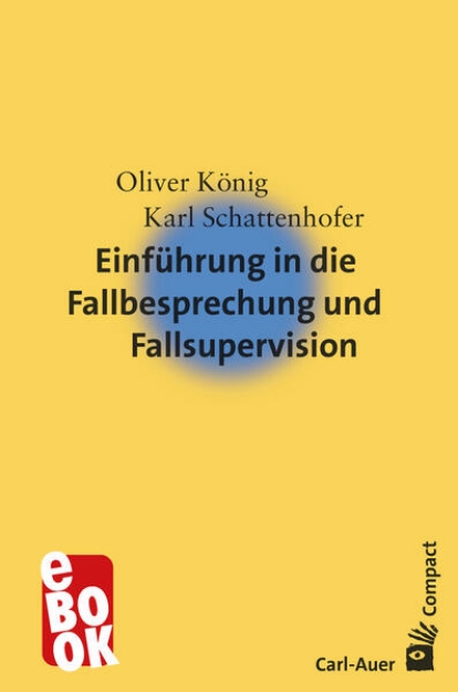 Bild von Einführung in die Fallbesprechung und Fallsupervision (eBook)