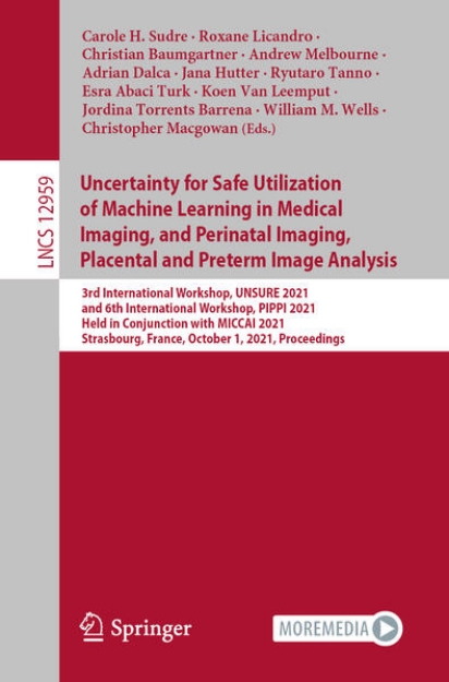 Bild von Uncertainty for Safe Utilization of Machine Learning in Medical Imaging, and Perinatal Imaging, Placental and Preterm Image Analysis