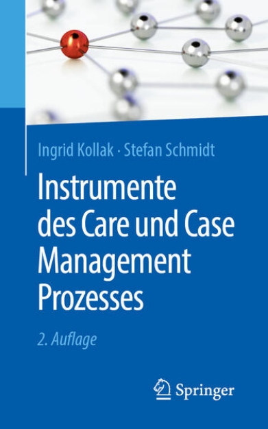 Bild von Instrumente des Care und Case Management Prozesses (eBook)