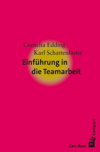 Bild von Einführung in die Teamarbeit (eBook)