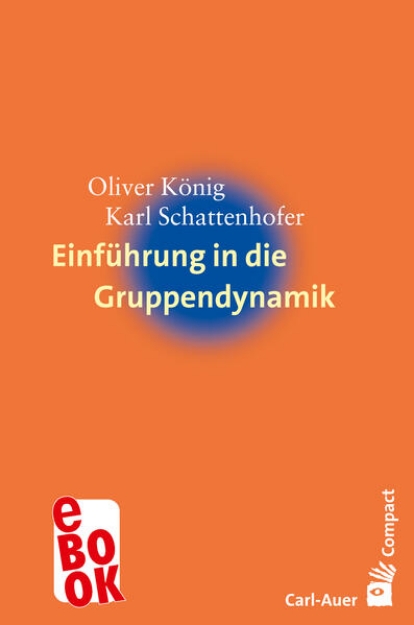 Bild von Einführung in die Gruppendynamik (eBook)