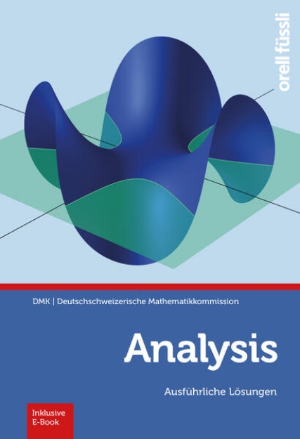 Bild von Analysis - Ausführliche Lösungen (eBook)