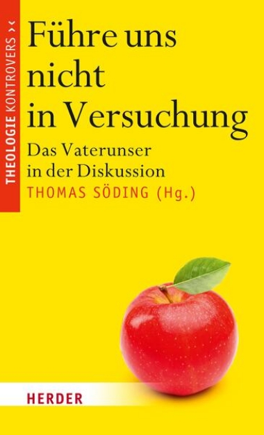 Bild von Führe uns nicht in Versuchung (eBook)