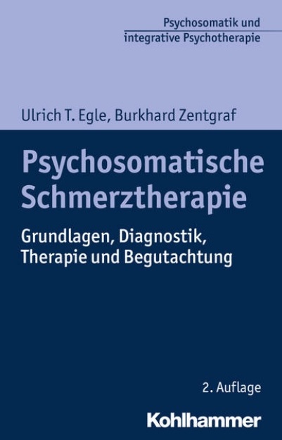 Bild von Psychosomatische Schmerztherapie (eBook)