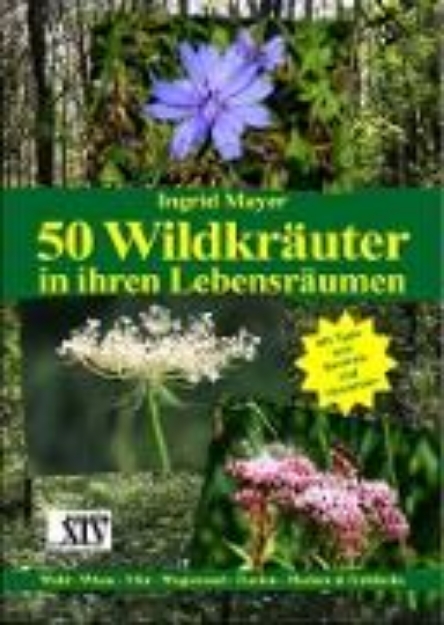 Bild von 50 Wildkräuter in ihren Lebensräumen (eBook)