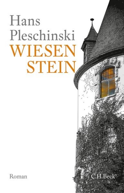 Bild von Wiesenstein (eBook)