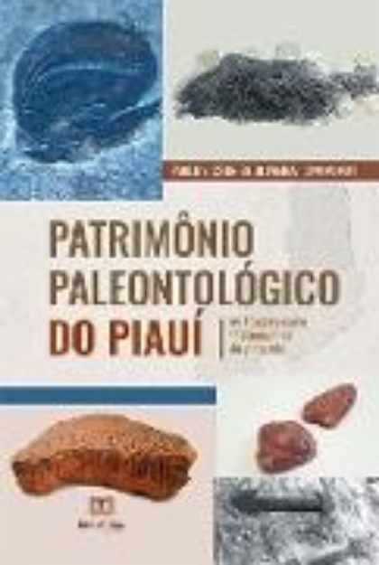 Bild von Patrimônio Paleontológico do Piauí (eBook)