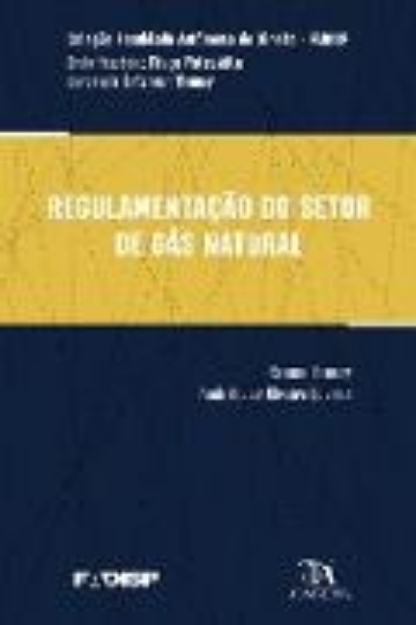 Bild von Regulamentação do Setor de Gás Natural (eBook)