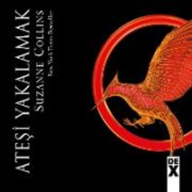 Bild von Açlik Oyunlari: Atesi Yakalamak (eBook)