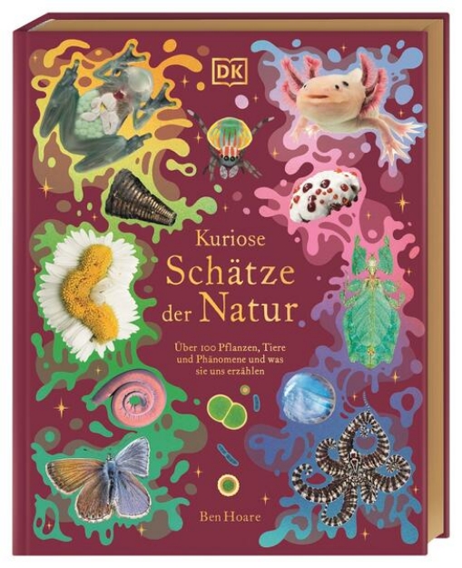 Bild von Kuriose Schätze der Natur