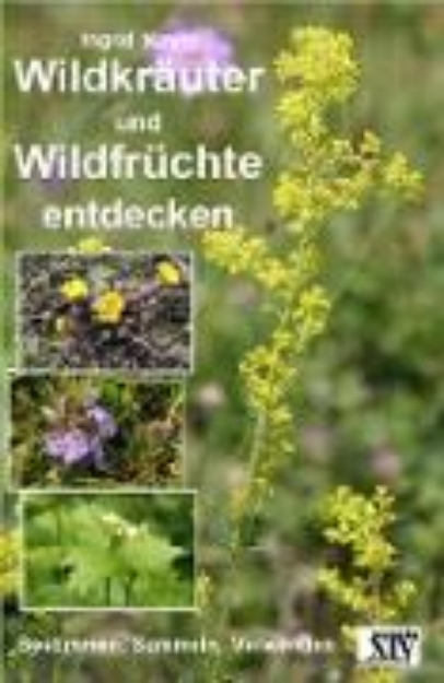 Bild von Wildkräuter und Wildfrüchte entdecken (eBook)