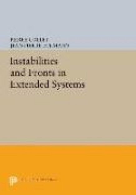 Bild von Instabilities and Fronts in Extended Systems (eBook)