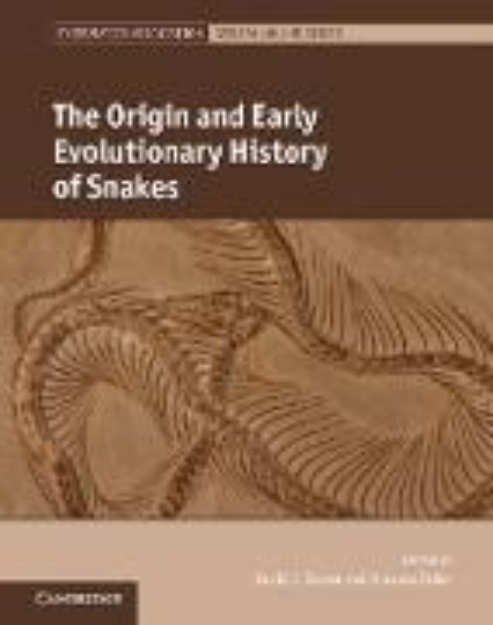 Bild von Origin and Early Evolutionary History of Snakes (eBook)