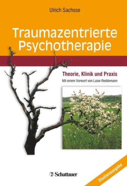 Bild von Traumazentrierte Psychotherapie (eBook)