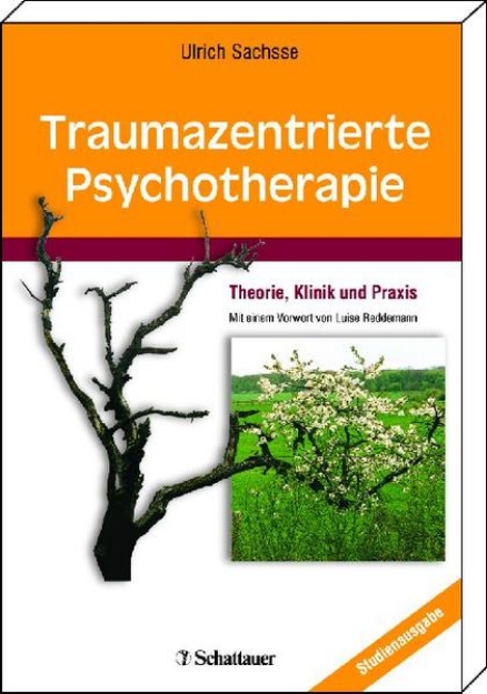 Bild von Traumazentrierte Psychotherapie