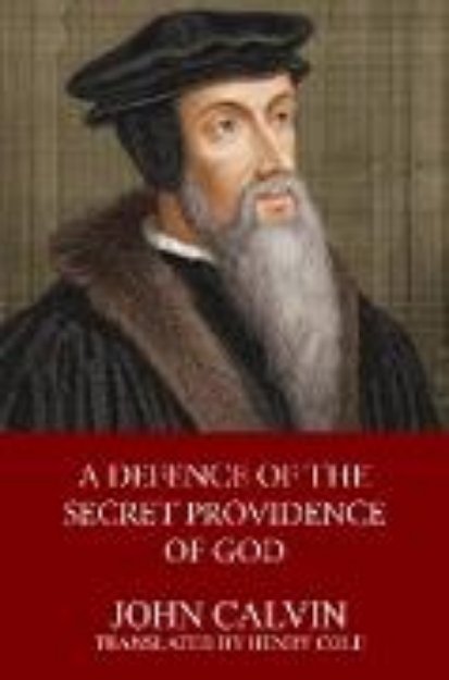 Bild von A Defence of the Secret Providence of God (eBook)