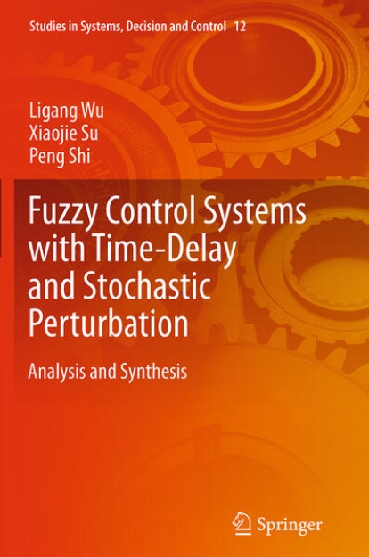 Bild von Fuzzy Control Systems with Time-Delay and Stochastic Perturbation