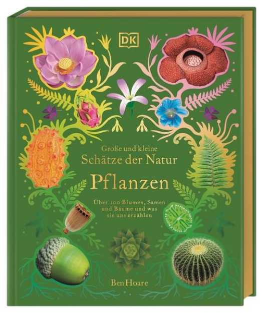 Bild von Große und kleine Schätze der Natur. Pflanzen