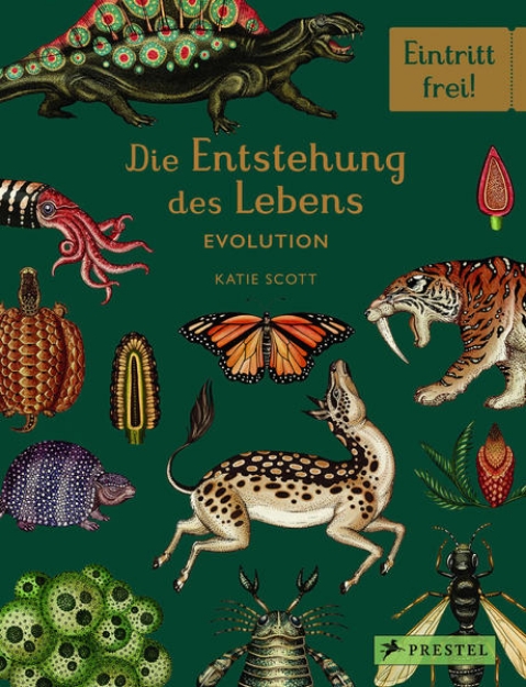 Bild von Die Entstehung des Lebens. Evolution