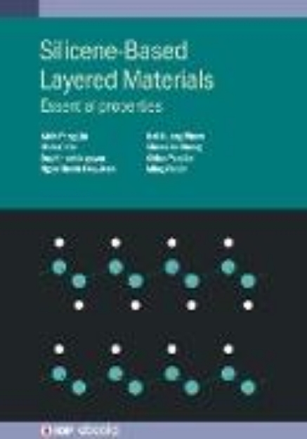 Bild von Silicene-Based Layered Materials (eBook)