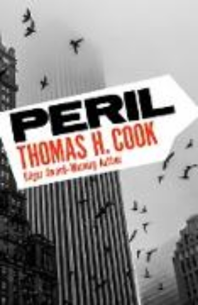 Bild von Peril (eBook)