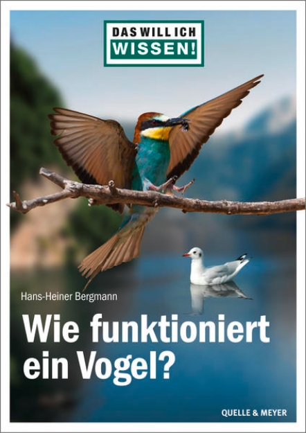 Bild von Das will ich wissen! Wie funktioniert ein Vogel?