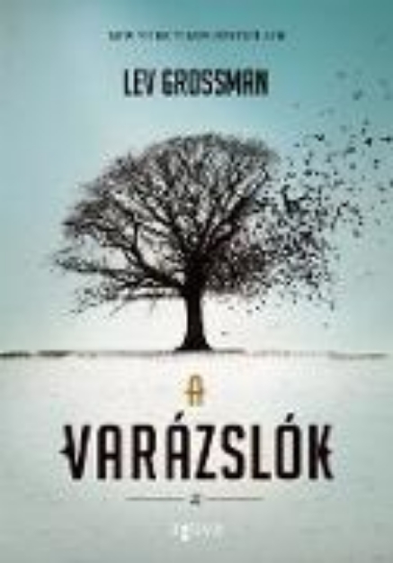 Bild von A varázslók (eBook)