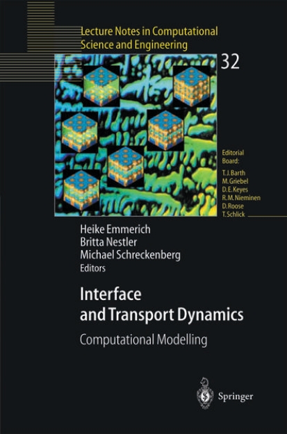 Bild von Interface and Transport Dynamics (eBook)