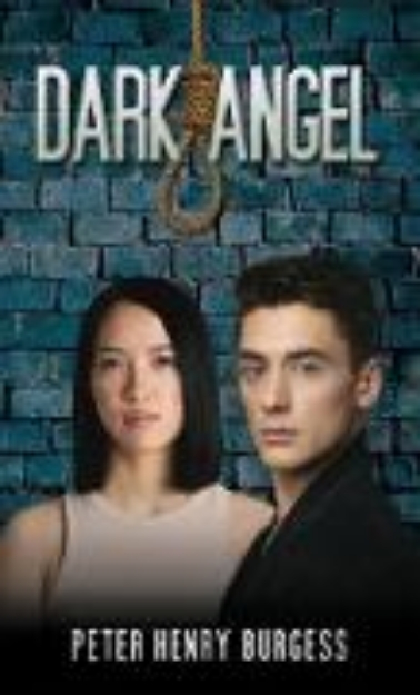 Bild von Dark Angel (eBook)