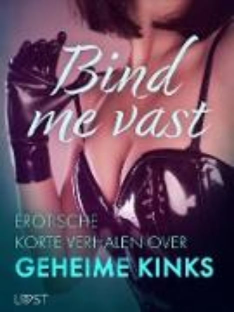 Bild von Bind me vast: Erotische korte verhalen over geheime kinks (eBook)