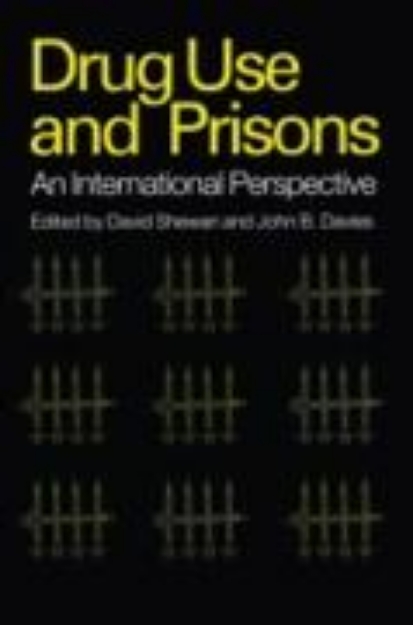 Bild von Drug Use in Prisons (eBook)