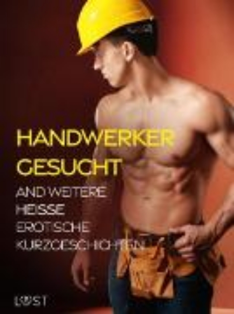 Bild von Handwerker gesucht and weitere heiße erotische Kurzgeschichten (eBook)