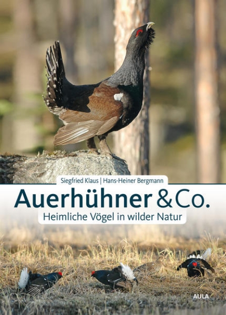 Bild von Auerhühner & Co