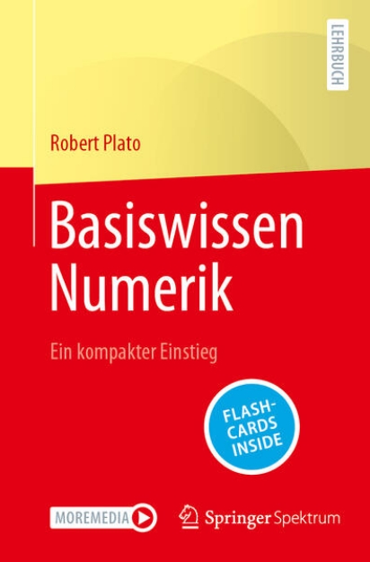 Bild von Basiswissen Numerik (eBook)