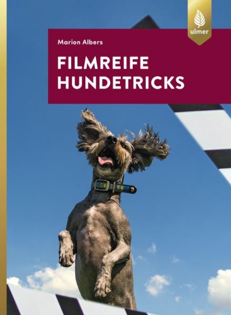 Bild von Filmreife Hundetricks