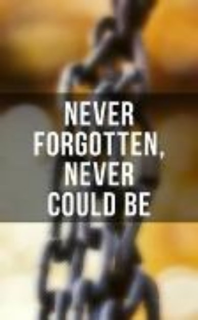 Bild von Never Forgotten, Never Could be (eBook)